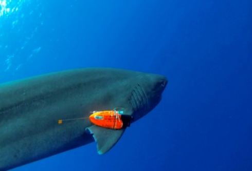 攝像機(jī)與傳感器的組合